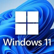 Windows11 MSDN 原版八合一(绕过TPM)v22000.194
