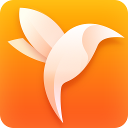 净网大师(ADSafe)浏览器v1.4电脑版
