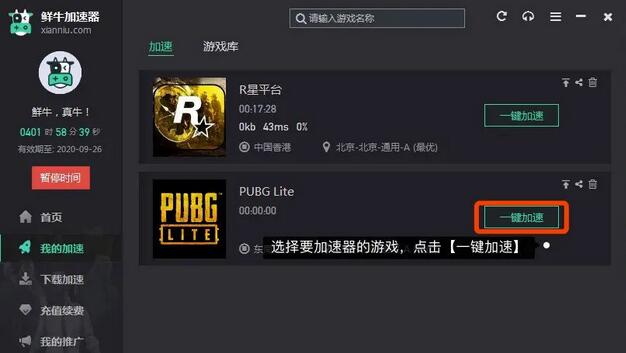 鲜牛加速器最新版
