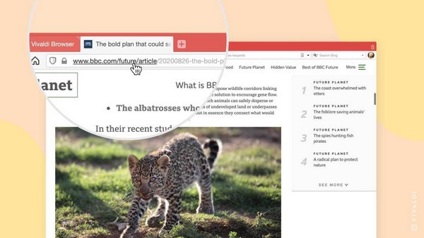 Vivaldi浏览器标准版