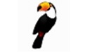 Toucan绿色版_Toucan（数据同步软件）v3.04加强版