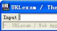 url解码工具下载_URLexam v1.2 绿色免费版