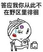 王者荣耀表情包下载_王者荣耀表情包(全网最全)