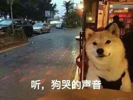 狗哭的图片下载|单身狗哭的表情包合集
