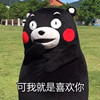 熊本熊表情包下载|熊本熊表白表情包无水印高清版