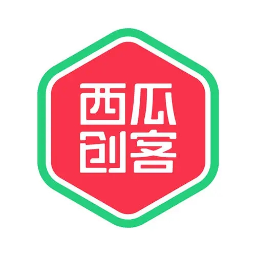 西瓜浏览器(编程专用浏览器)v20.2绿色版